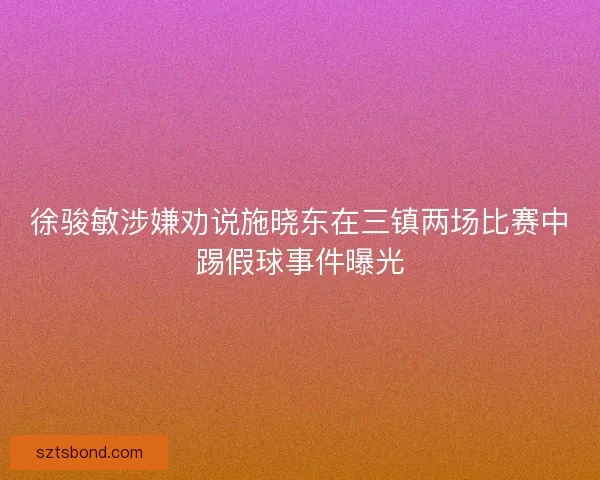 徐骏敏涉嫌劝说施晓东在三镇两场比赛中踢假球事件曝光