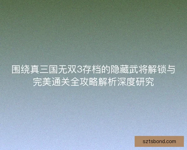 围绕真三国无双3存档的隐藏武将解锁与完美通关全攻略解析深度研究 围绕真三国无双3存档的隐藏武将解锁与完美通关全攻略解析深度研究