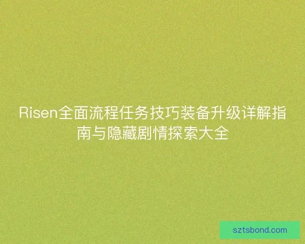 Risen全面流程任务技巧装备升级详解指南与隐藏剧情探索大全